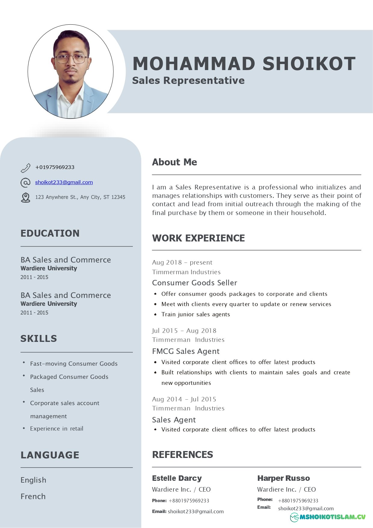 FMCG Sales Executive Resume