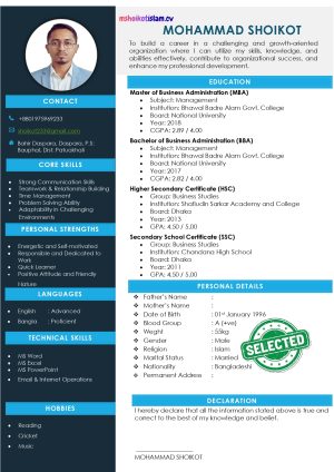 Freasher cv templete 1 page 4