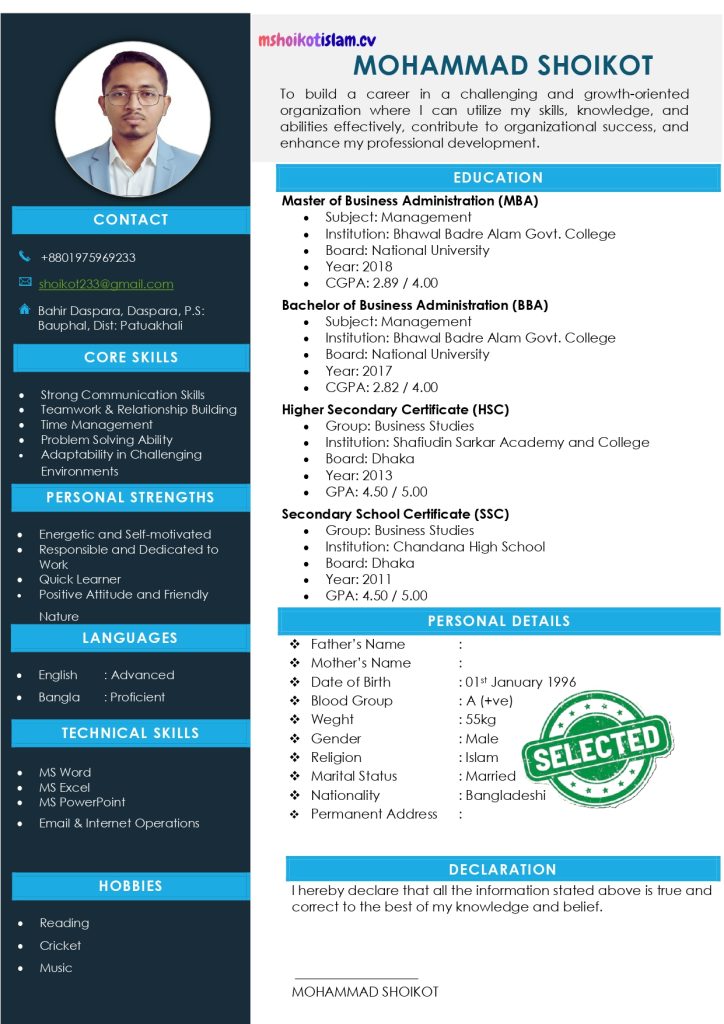 Freasher cv templete 1 page 4