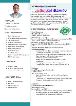 Professional ATS-Friendly CV