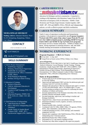 Professional ATS-Friendly Experience CV Template (3)